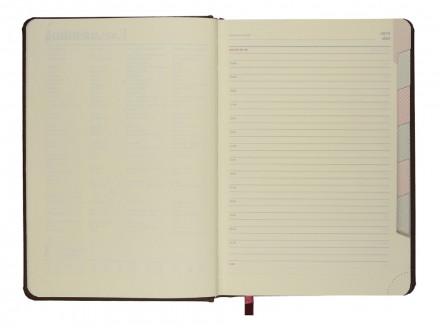 Ежедневник недатированный А5 Velvet Index (коричневый)