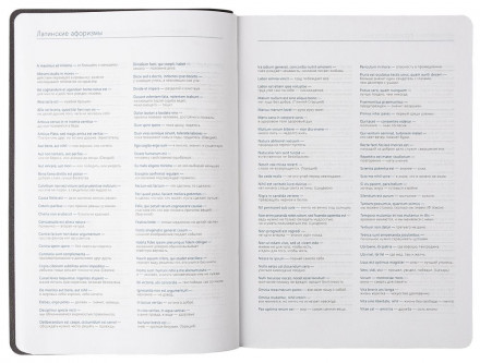 Ежедневник Vivien, недатированный, оранжевый