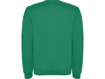 Свитшот с начесом Clasica унисекс, зеленый