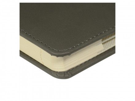 Ежедневник недатированный А5 Velvet Index (серый)