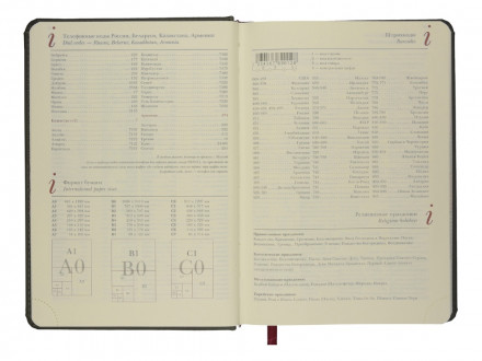 Ежедневник недатированный А5 Velvet Index (серый)