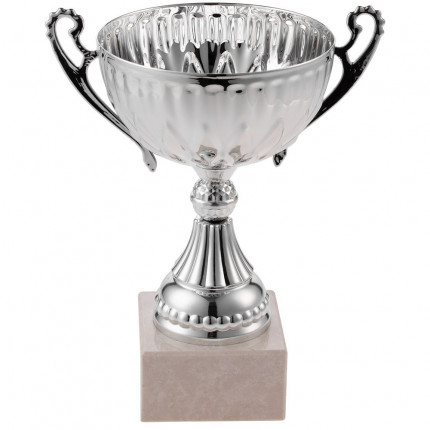 Кубок North King, большой, серебристый