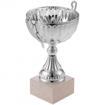 Кубок North King, большой, серебристый