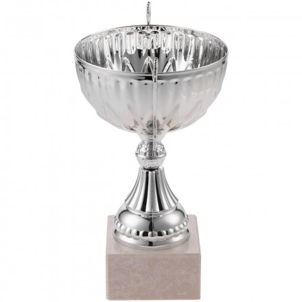 Кубок North King, большой, серебристый