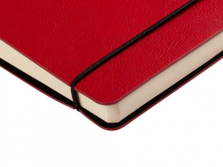 Ежедневник недатированный А5 Palermo, красный