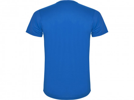 Спортивная футболка Detroit мужская, королевский синий/светло-синий