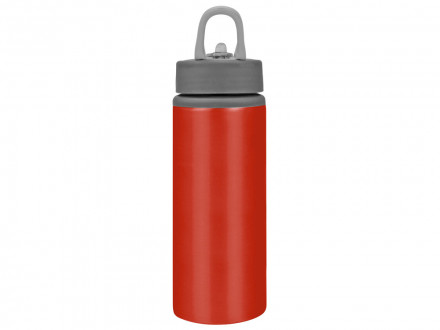 Бутылка для воды Rino 660 мл, красный