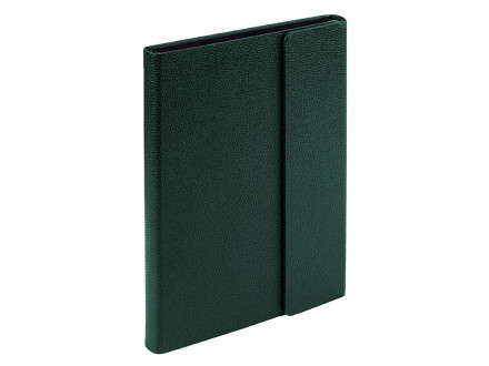 Ежедневник недатированный с магнитным клапаном А5 Venezia, зеленый