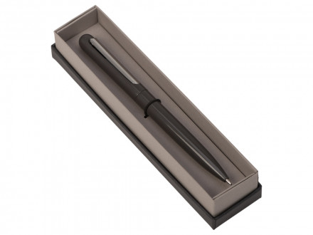 Ручка в футляре Blooming Skate, серый