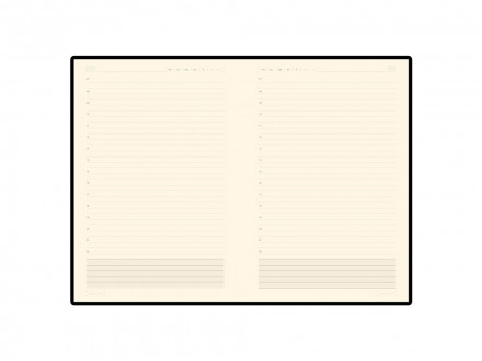 Ежедневник В5 недатированный Zenith, оранжевый