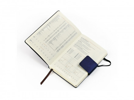 Ежедневник В5 недатированный Zenith, оранжевый