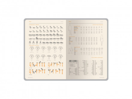 Ежедневник А5 датированный Boston 2027, оранжевый с серым обрезом