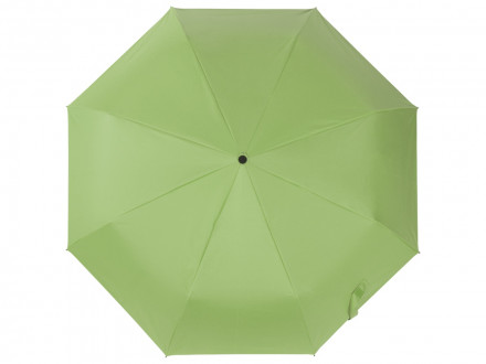Зонт-автомат Dual с двухцветным куполом, зеленое яблоко/черный