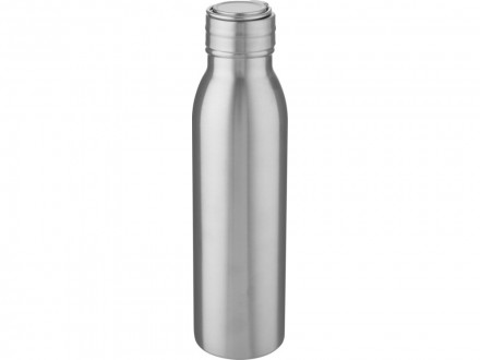 Harper, спортивная бутылка из нержавеющей стали объемом 700 мл с металлической петлей, серебристый