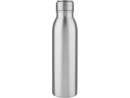 Harper, спортивная бутылка из нержавеющей стали объемом 700 мл с металлической петлей, серебристый