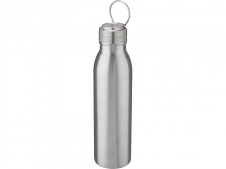 Harper, спортивная бутылка из нержавеющей стали объемом 700 мл с металлической петлей, серебристый