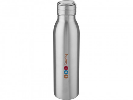 Harper, спортивная бутылка из нержавеющей стали объемом 700 мл с металлической петлей, серебристый