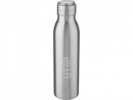 Harper, спортивная бутылка из нержавеющей стали объемом 700 мл с металлической петлей, серебристый