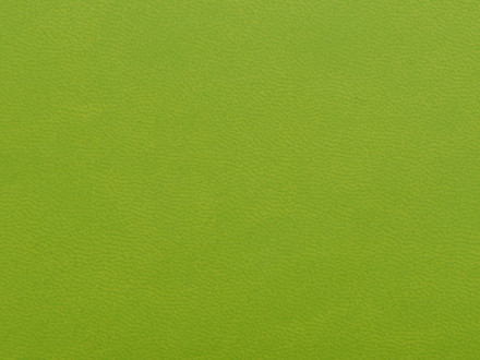 Блокнот А6 Riner, зеленое яблоко