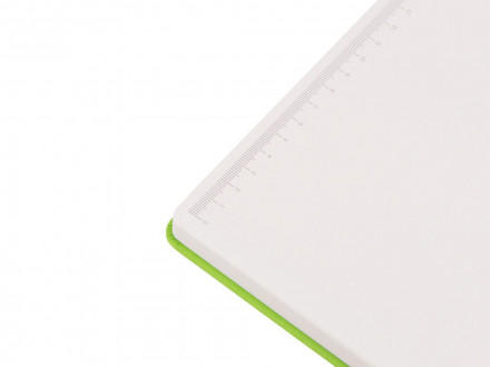 Бизнес-блокнот C2 софт-тач, твердая обложка, 128 листов, зеленое яблоко