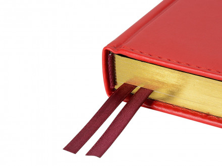 Ежедневник недатированный А5 Parliament, красный