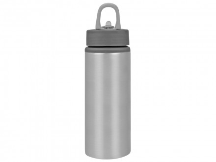 Бутылка для воды Rino 660 мл, серебристый