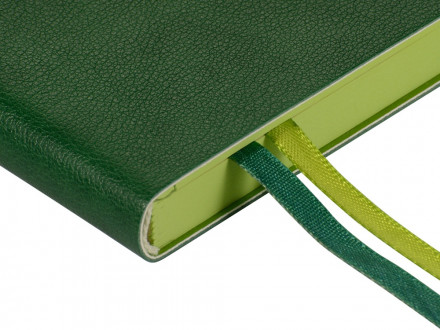 Ежедневник А5 датированный Boston 2027, зеленый с салатовым обрезом