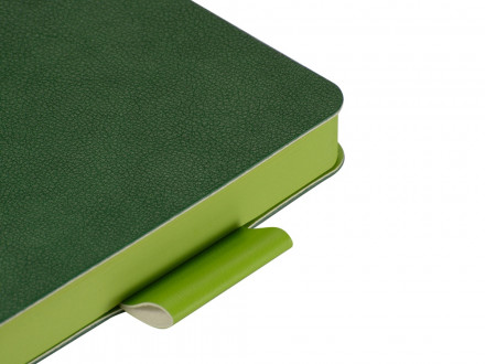 Ежедневник А5 датированный Boston 2027, зеленый с салатовым обрезом