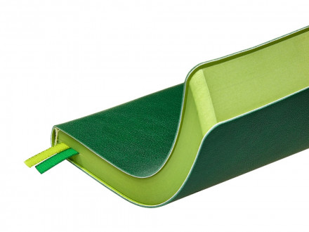 Ежедневник А5 датированный Boston 2027, зеленый с салатовым обрезом