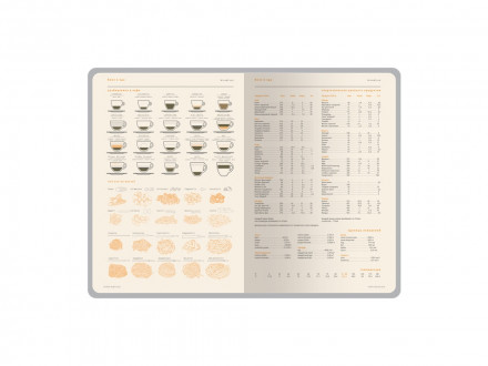 Ежедневник А5 датированный Boston 2027, серый с салатовым обрезом