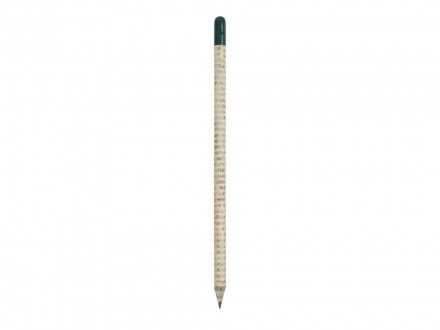 Растущий карандаш с семенами базилика