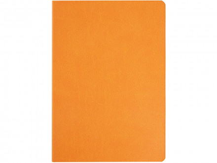 Ежедневник недатированный А5 Megapolis Color Flex, оранжевый