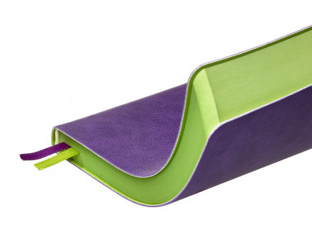 Ежедневник А5 датированный Boston 2027, фиолетовый с салатовым обрезом