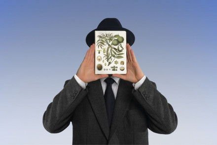 Беспроводная колонка «Грецкий орех»