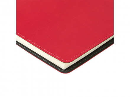 Ежедневник А5 Tintoretto, красный