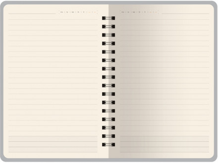 Ежедневник А5 Tintoretto, бордовый