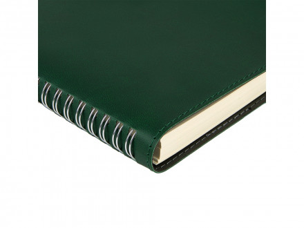 Ежедневник А5 Tintoretto, зеленый