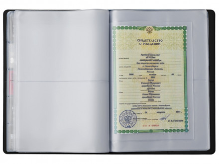 Органайзер Favor 2.0 для семейных документов на 4 комплекта документов, формат А4, черный