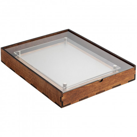 Плакетка Destiny's Shield Silver, светлая