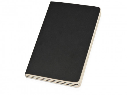 Записная книжка Moleskine Cahier (нелинованный, 1 шт.), Large (13х21см), черный