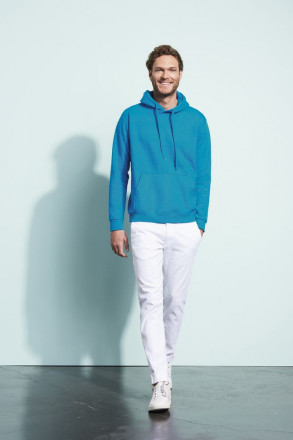 Толстовка с капюшоном Snake 280, темно-серая