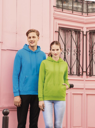 Толстовка с капюшоном Snake 280, темно-серая