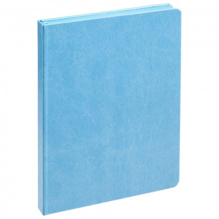 Ежедневник Brand Tone, недатированный, голубой