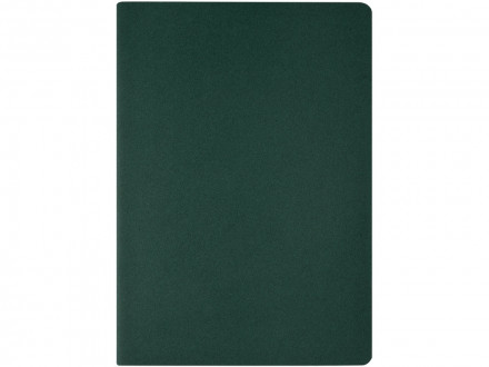 Бизнес тетрадь А5 Pragmatic, 40 листов в клетку, зеленый