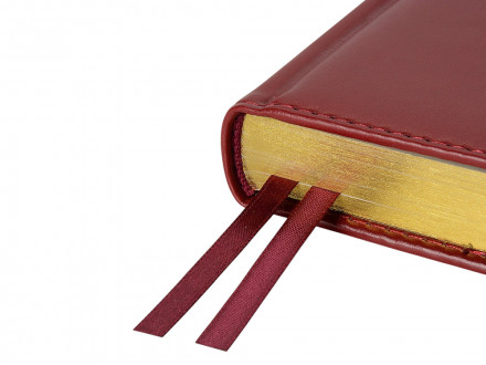 Ежедневник недатированный А5 Parliament, бордовый