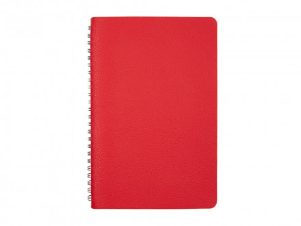 Ежедневник недатированный А5 Alba, красный