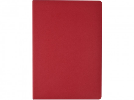 Бизнес-тетрадь А4 Pragmatic,  40л., клетка, красный