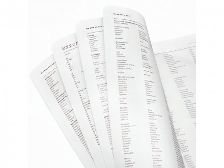 Ежедневник А5 недатированный Mercury, красный