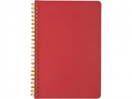 Бизнес тетрадь на гребне А5 Pragmatic, 60 листов в клетку, красный