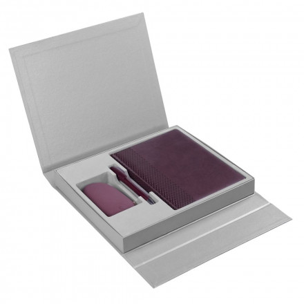 Коробка Status под ежедневник, аккумулятор и ручку, серебристая